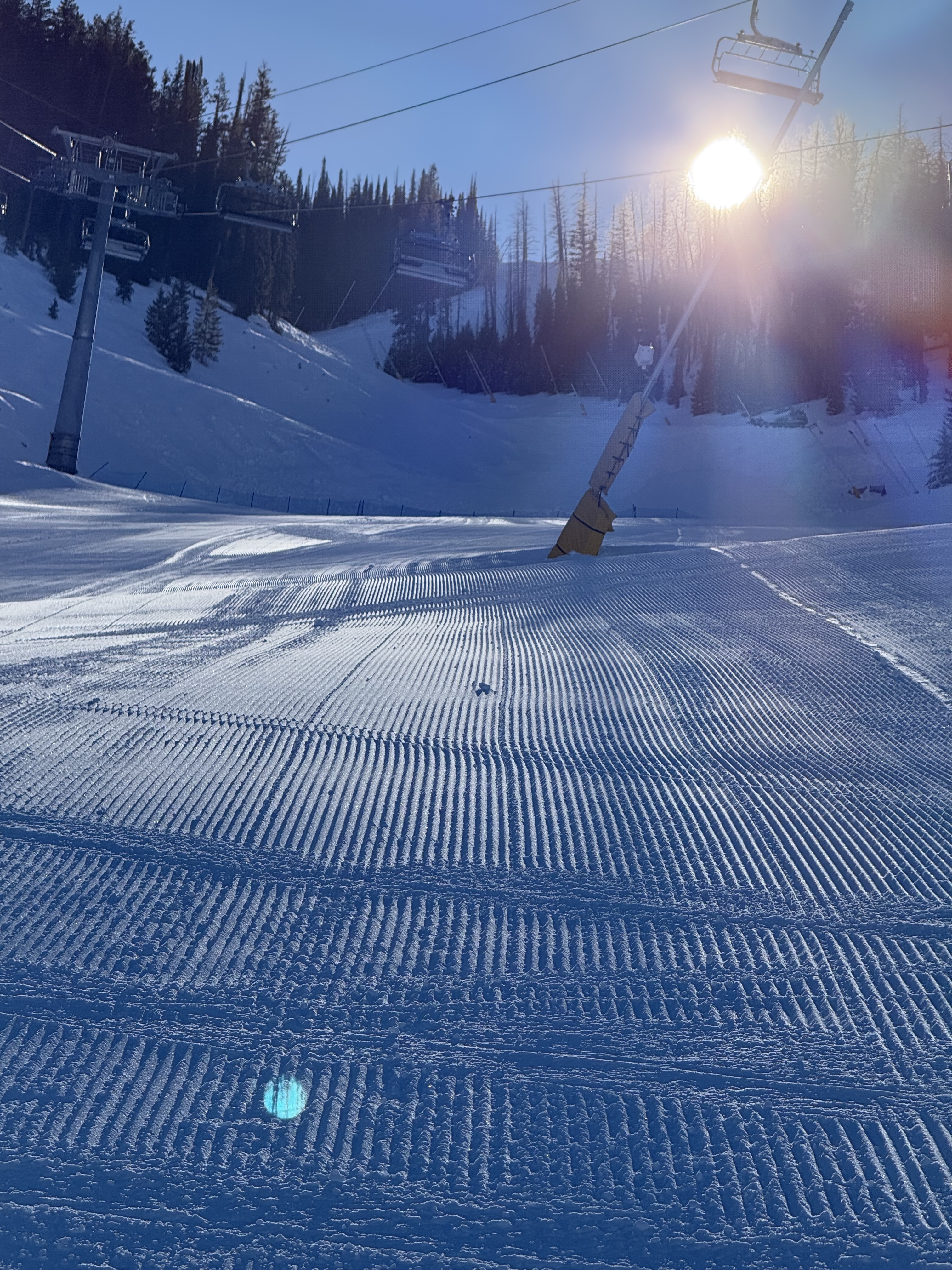 Corduroy Awaits